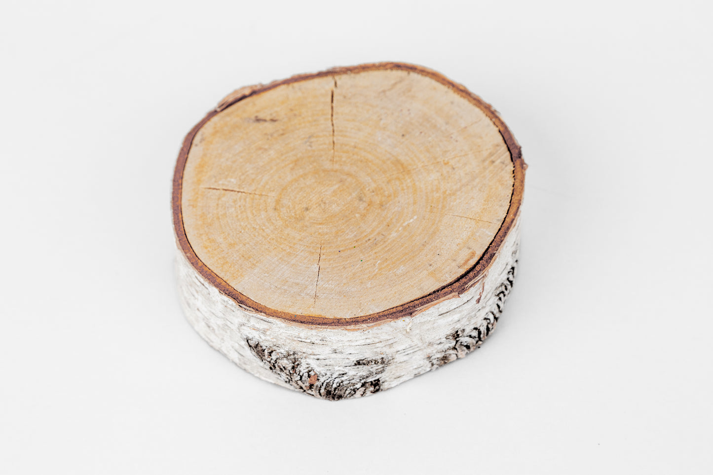 Birch Slices (Discs) - 1 Pcs