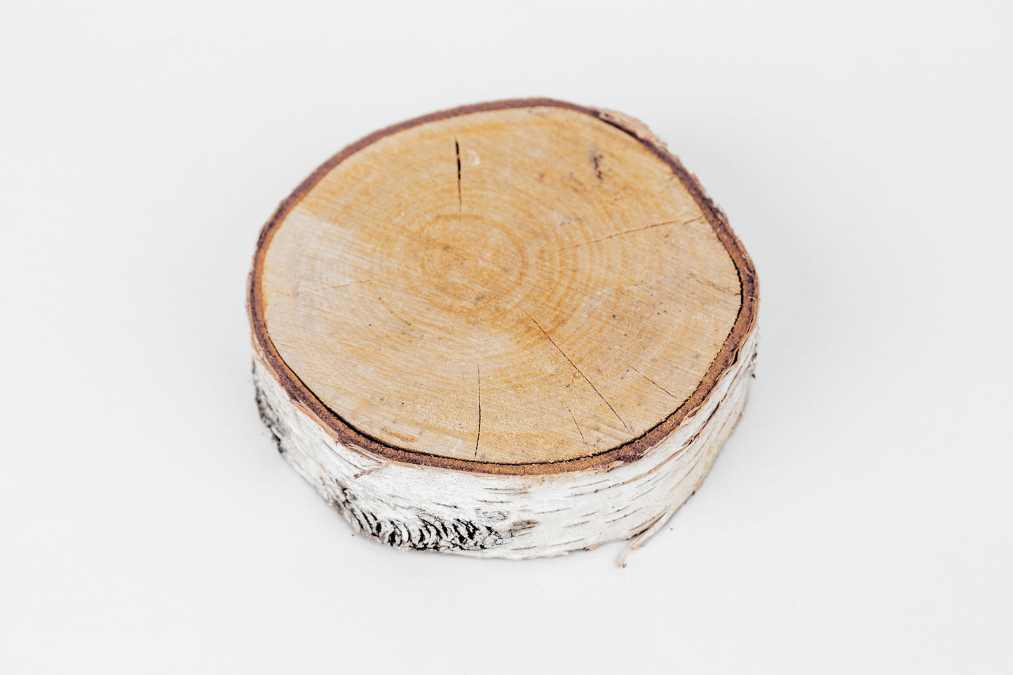 Birch Slices (Discs) - 1 Pcs