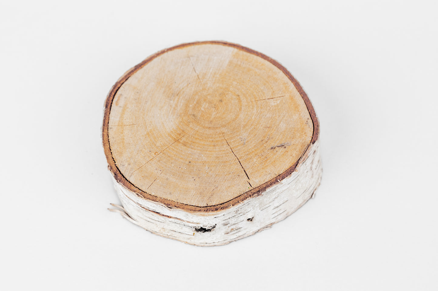 Birch Slices (Discs) - 1 Pcs