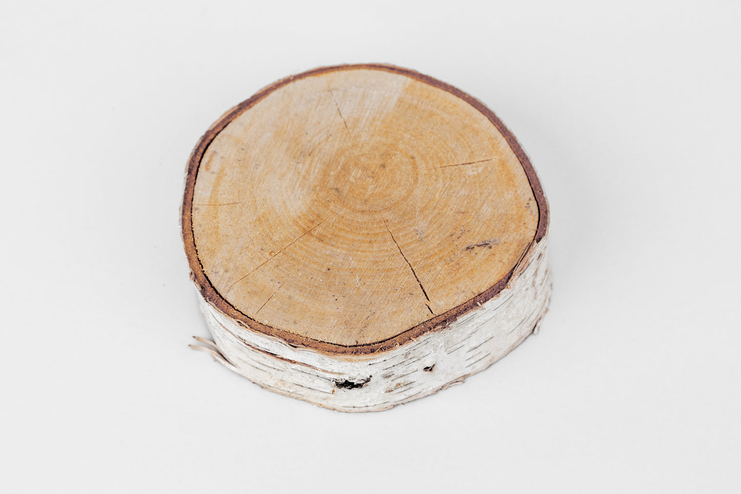 Birch Slices (Discs) - 1 Pcs
