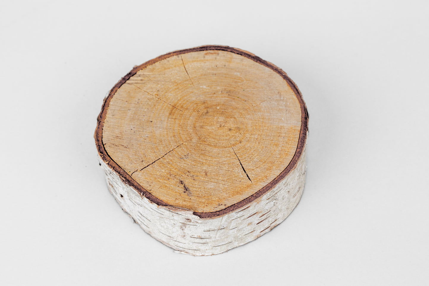 Birch Slices (Discs) - 1 Pcs