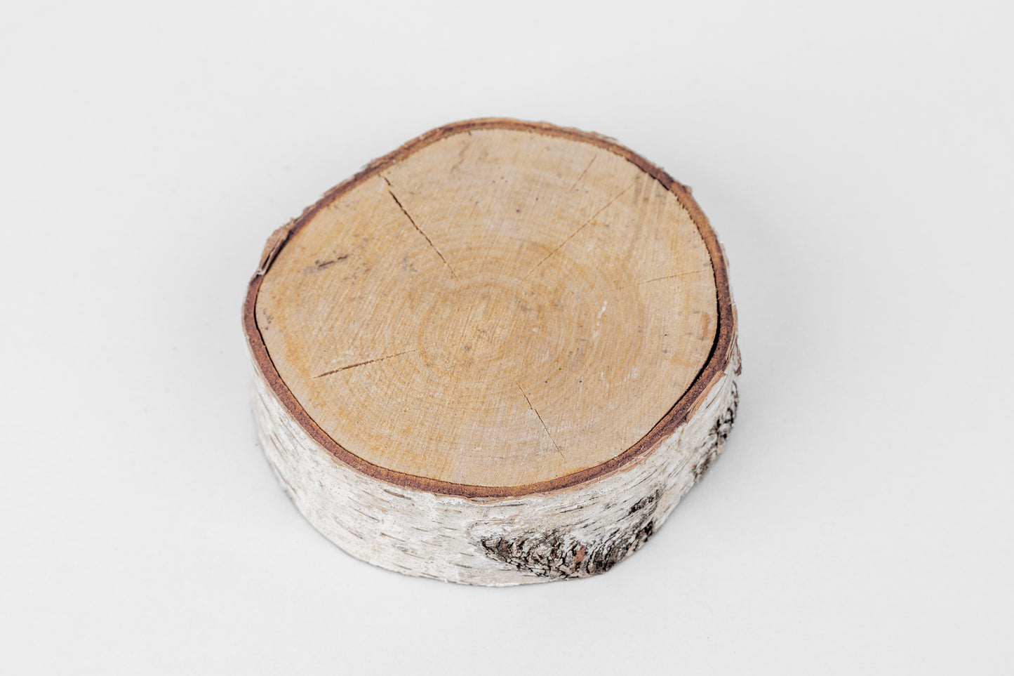 Birch Slices (Discs) - 1 Pcs