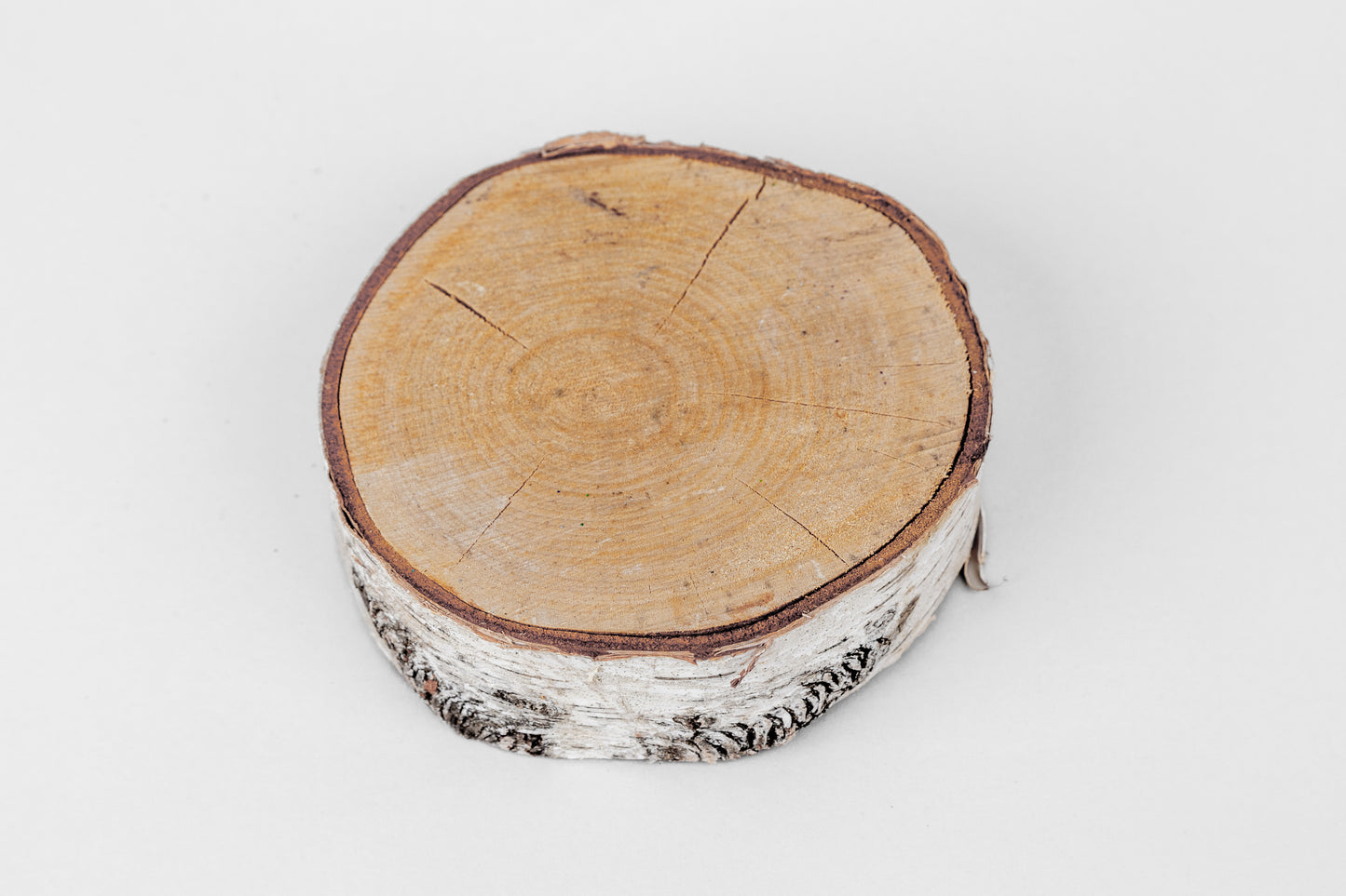 Birch Slices (Discs) - 1 Pcs