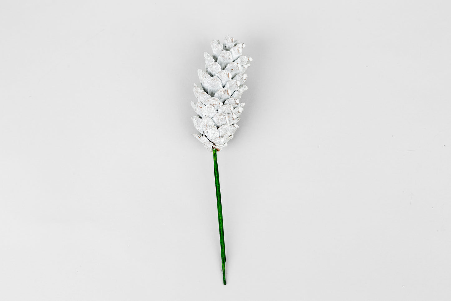 Strobius Cones with 6" wood pick 100pcs