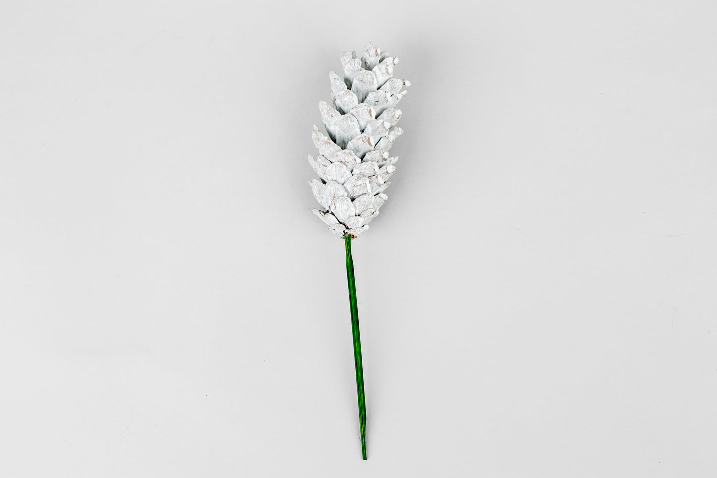 Strobius Cones with 6" wood pick 100pcs