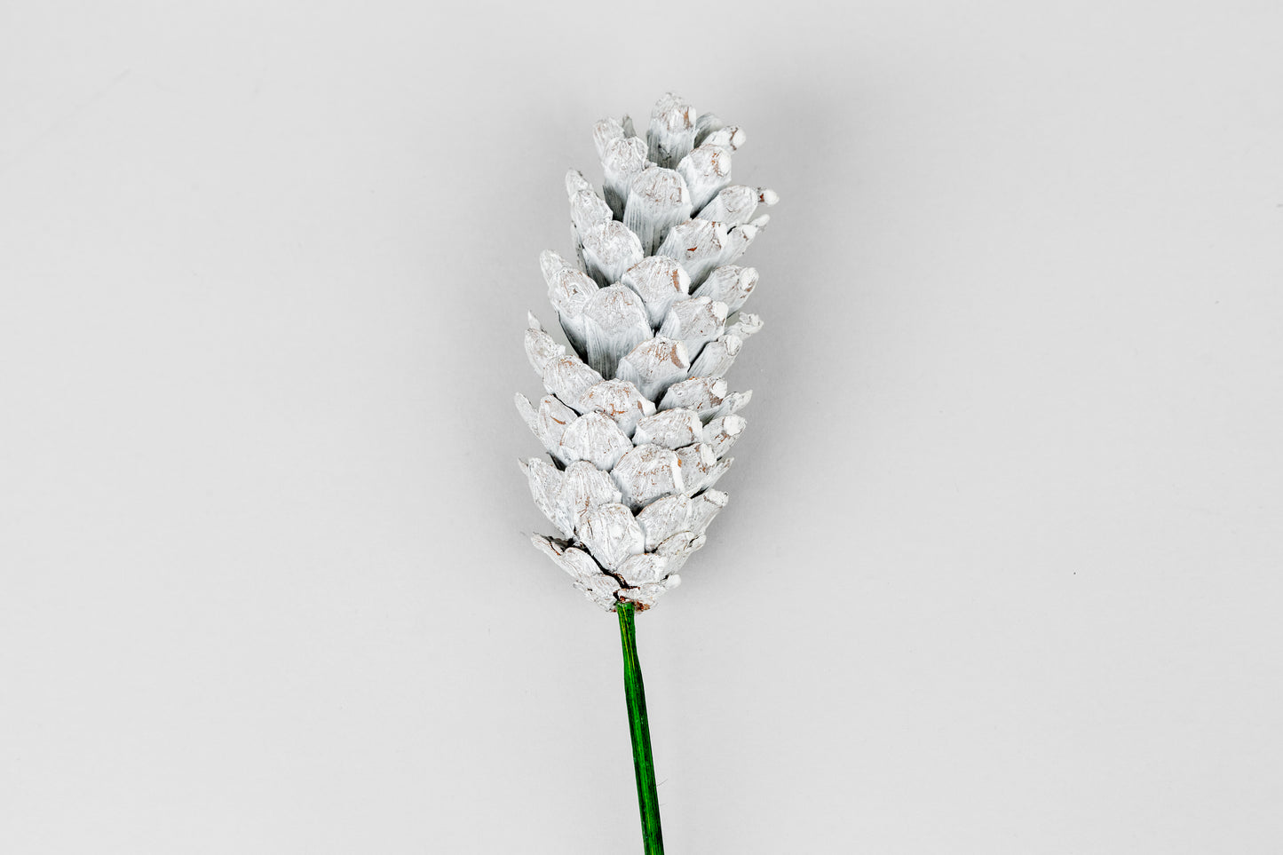 Strobius Cones with 6" wood pick 100pcs