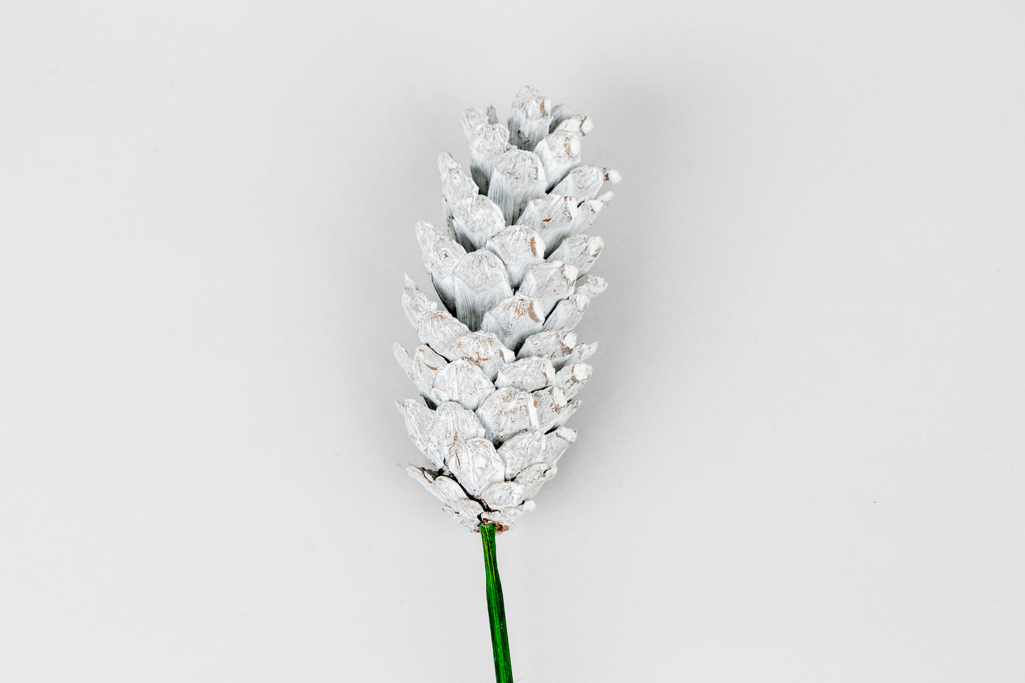 Strobius Cones with 6" wood pick 100pcs