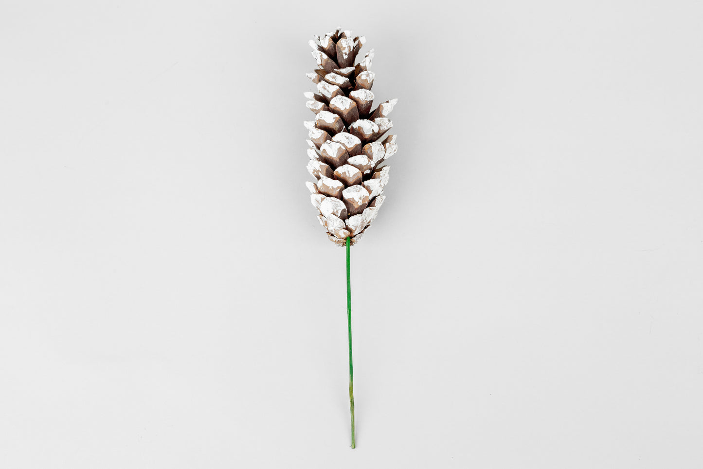 Strobius Cones with 6" wood pick 100pcs