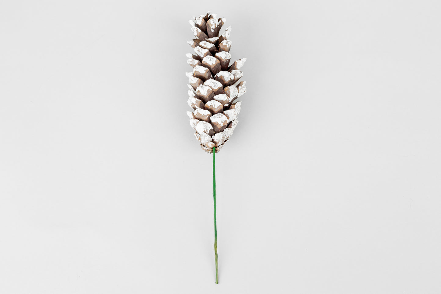 Strobius Cones with 6" wood pick 100pcs