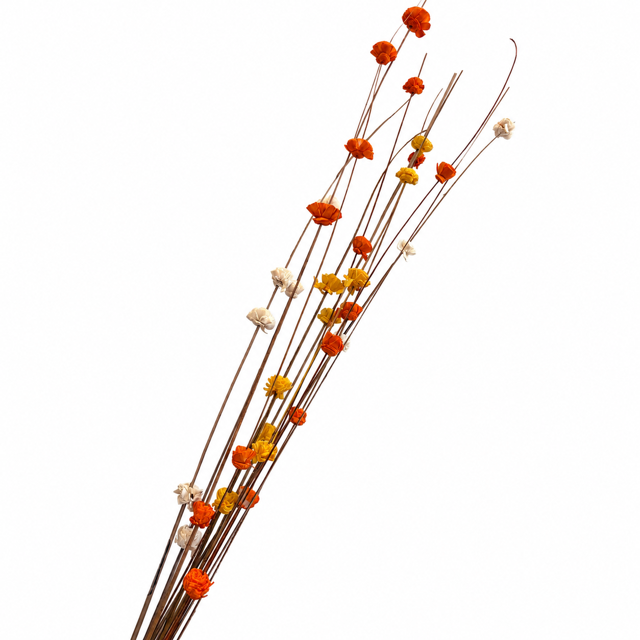 Ting with Sola Flower Bunch
