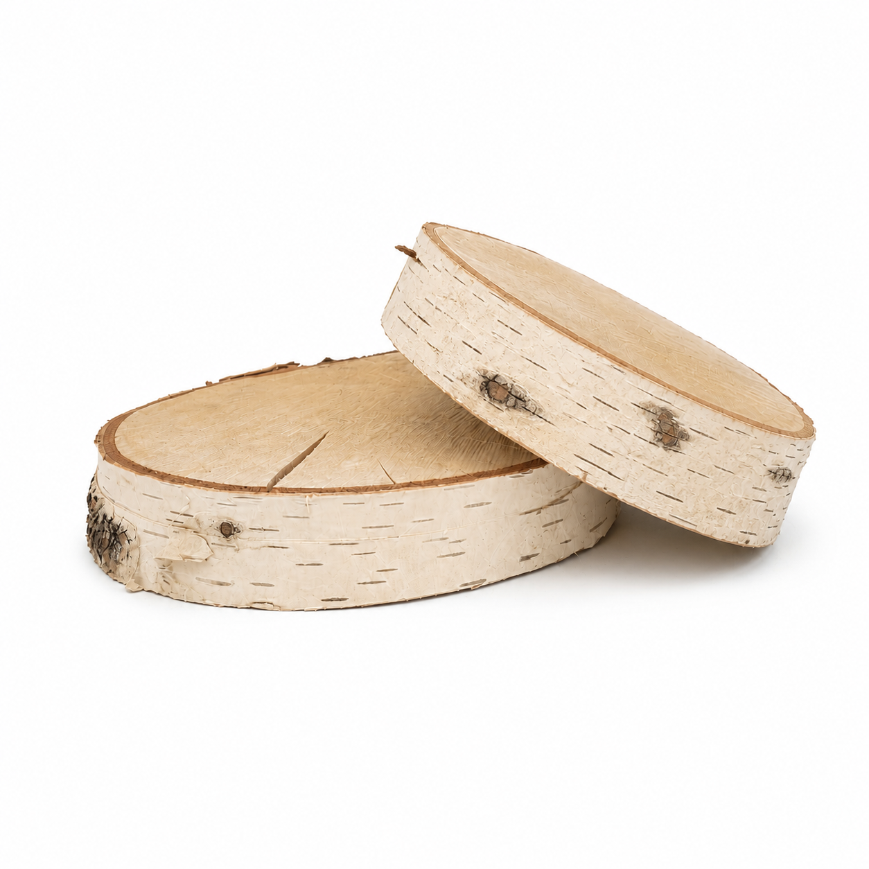 Natural Birch Slices (Discs) | 4" - 8" DIA