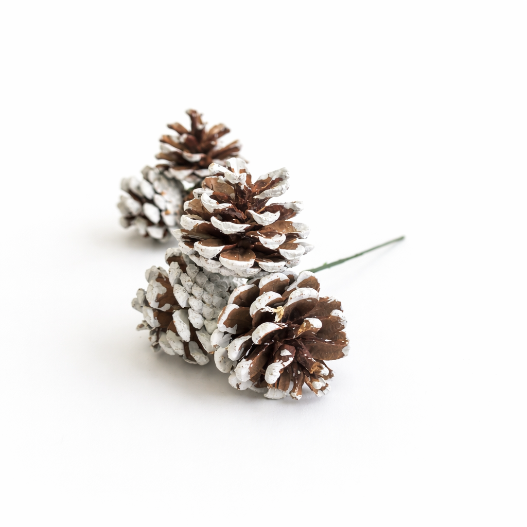 White Tipped Pinecone Pick - Triple Stem