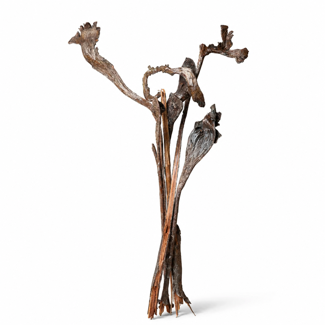 Natural Natraj Branches for Terrariums & Vivariums