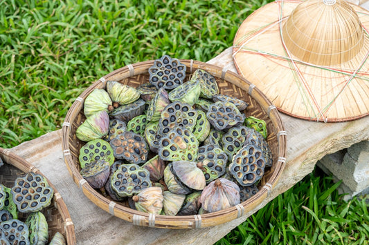 Everything You Need to Know about Lotus Pods