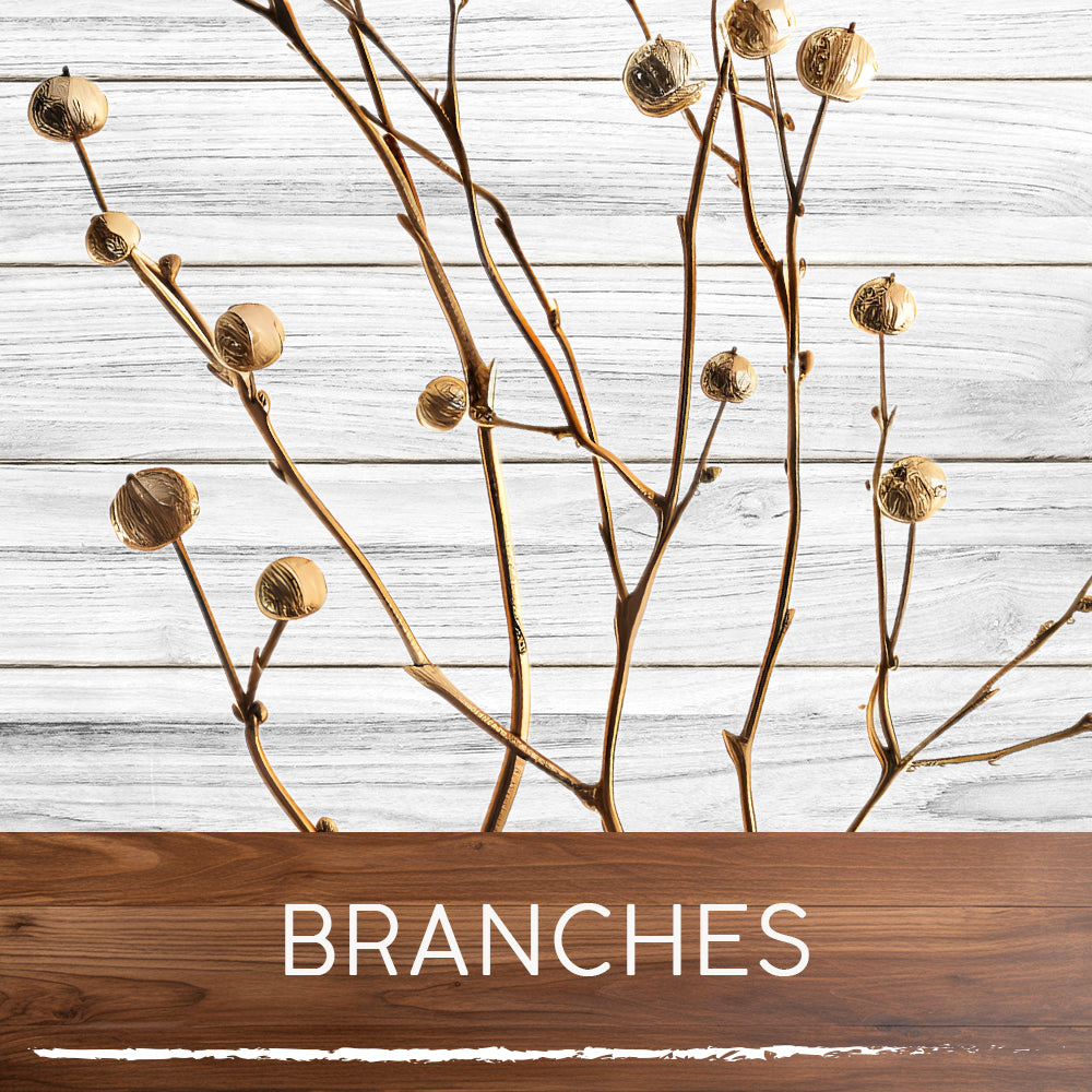 BRANCHES