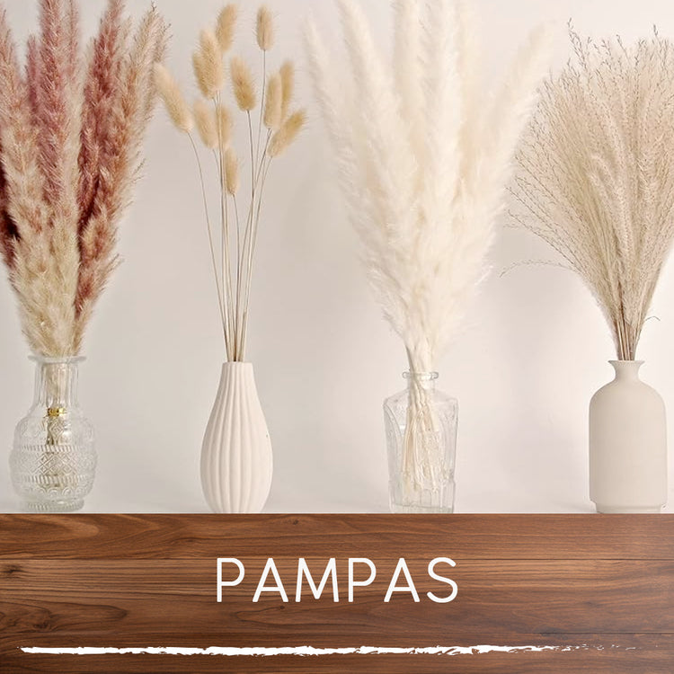 PAMPAS