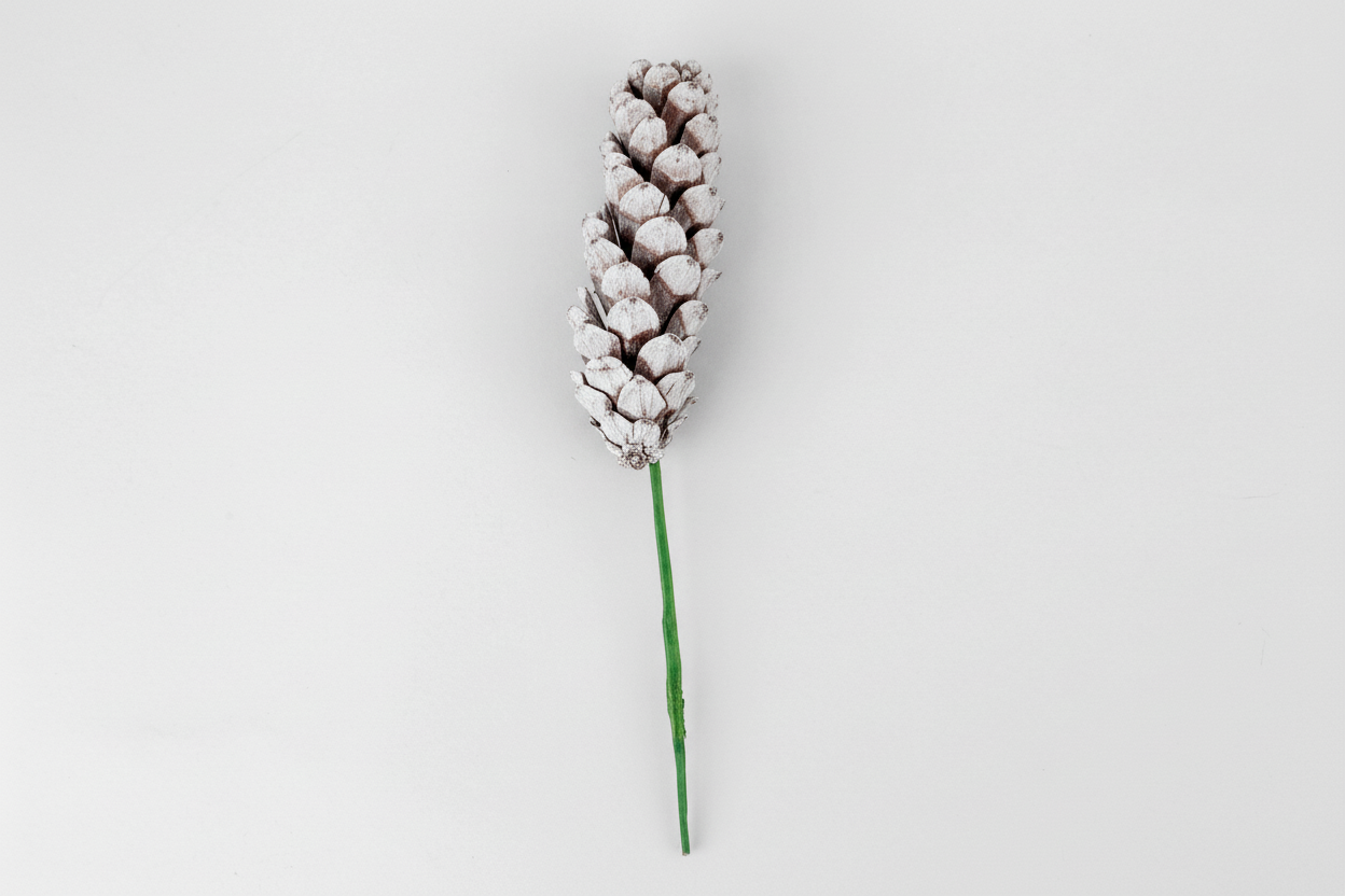 Strobus Pinecone Pick - 6" Wood Stem