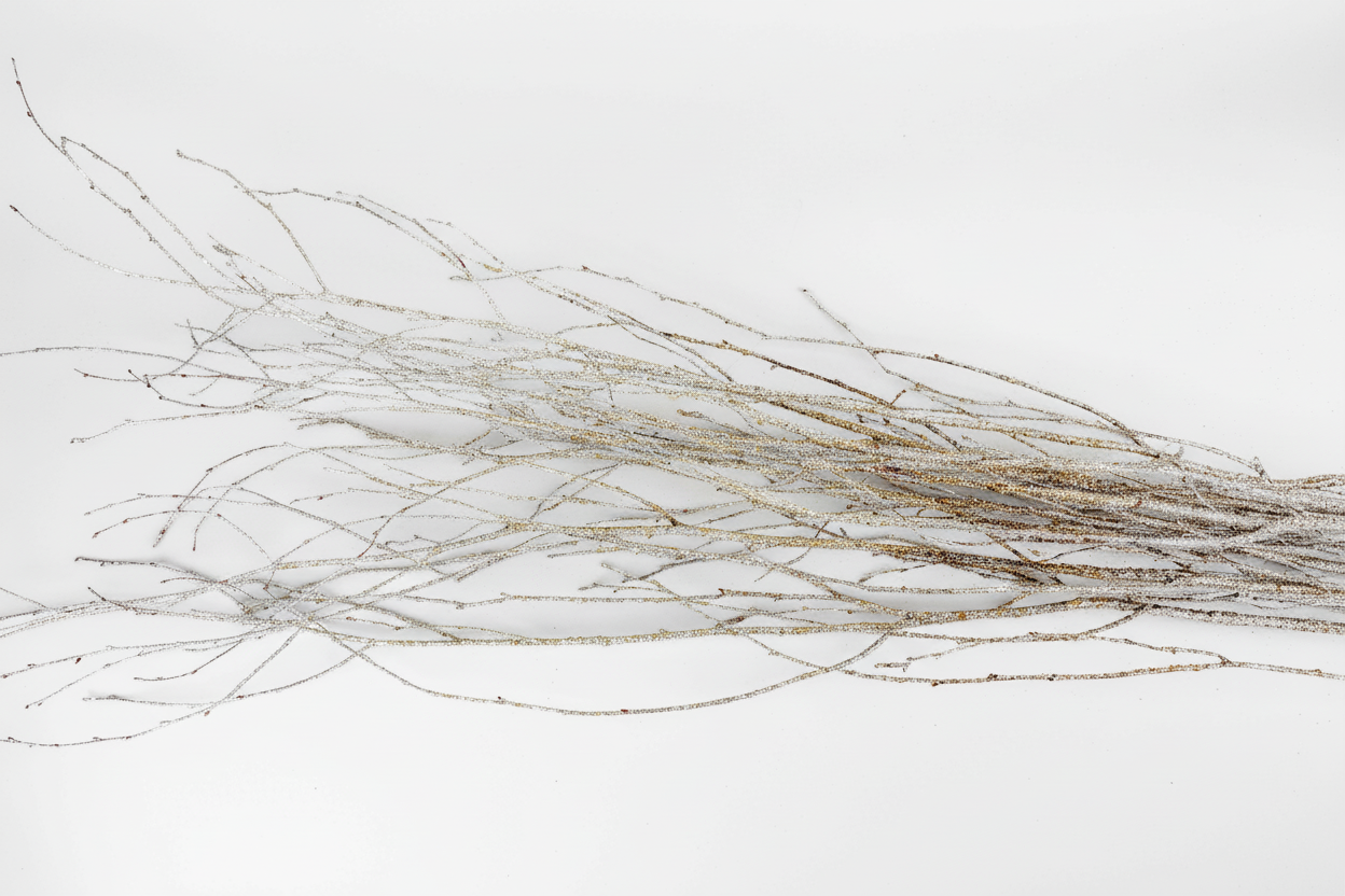 Red Glitter 4 Foot Birch Branches