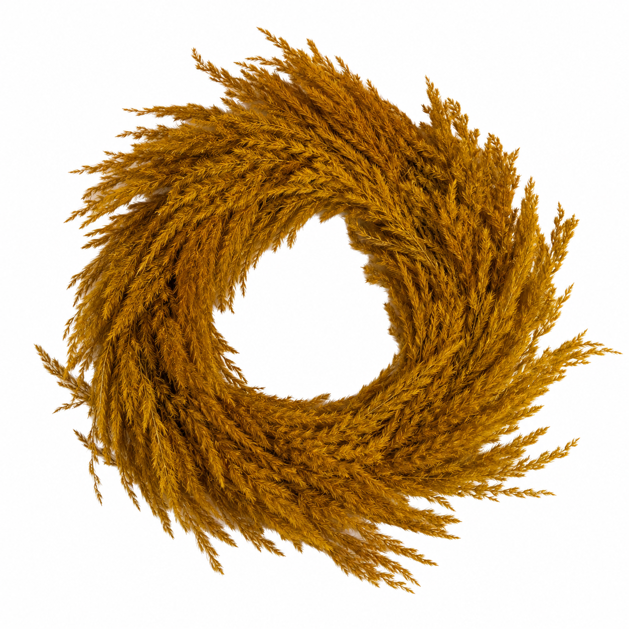 16" Preserved Pampas Grass Wreath