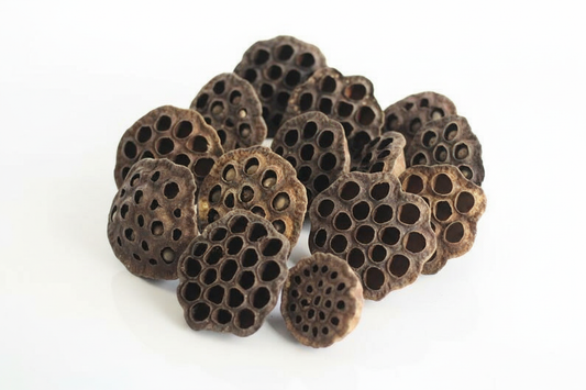 Natural Lotus Pod Heads