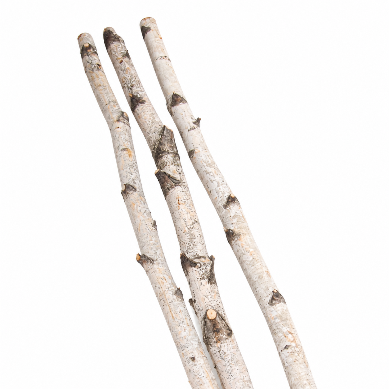 Natural 6 Foot Birch Poles - Bundle of 6