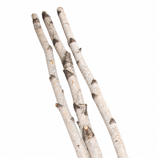 Natural 4ft Birch Poles Set of 4