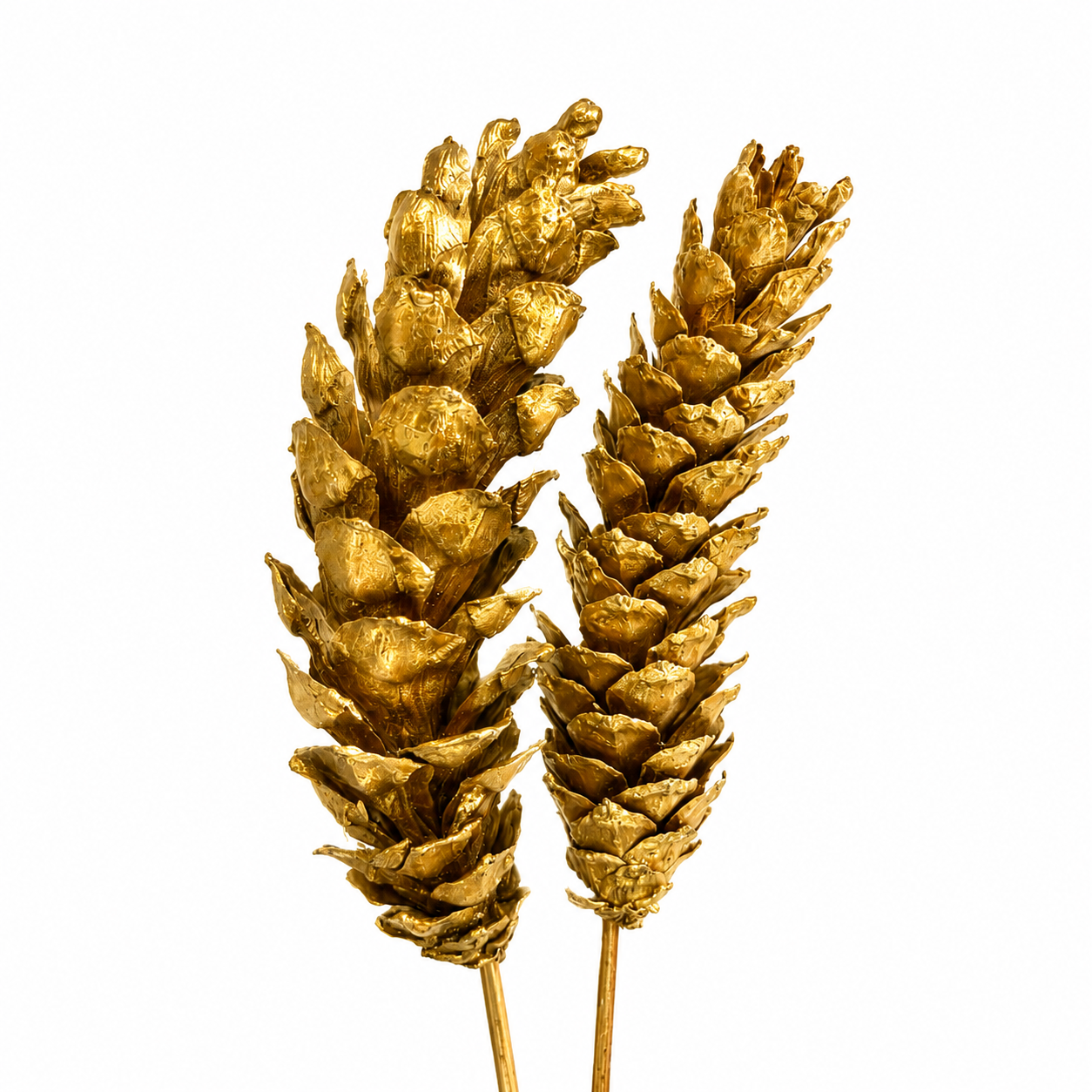 Strobus Pinecone Pick - 6" Wood Stem
