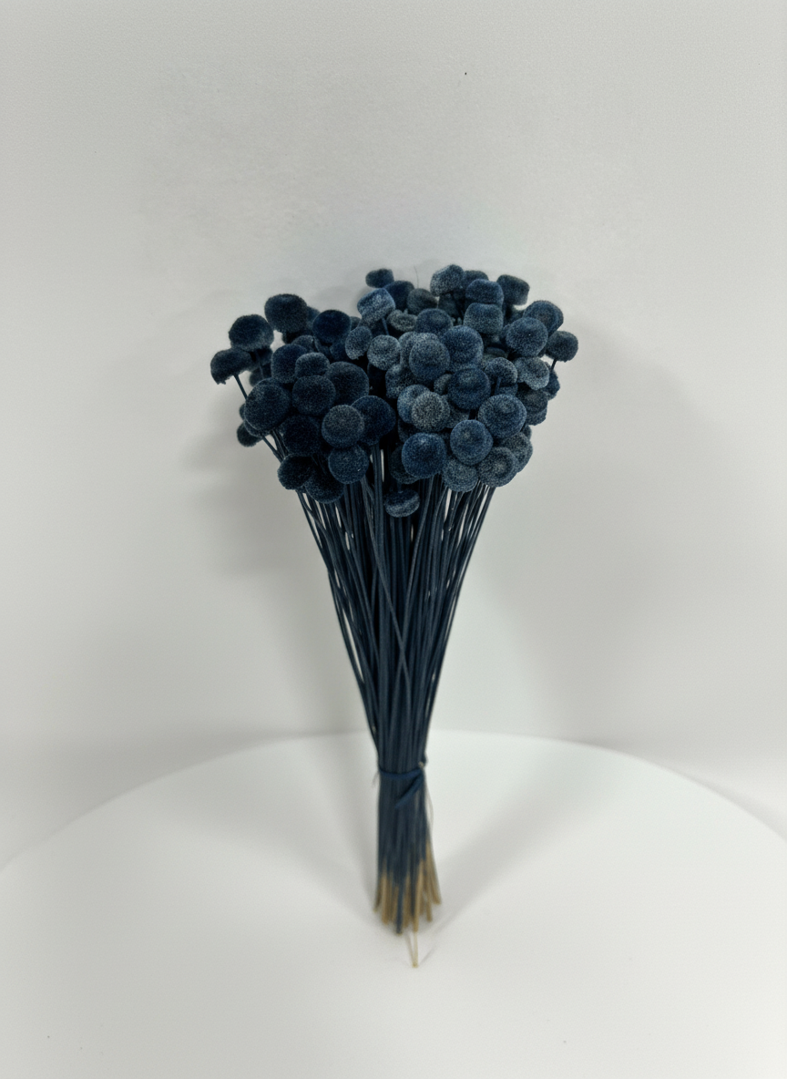 Dried Botao Flowers