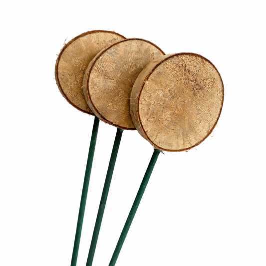 Birch Disc Pick - 3" Dia