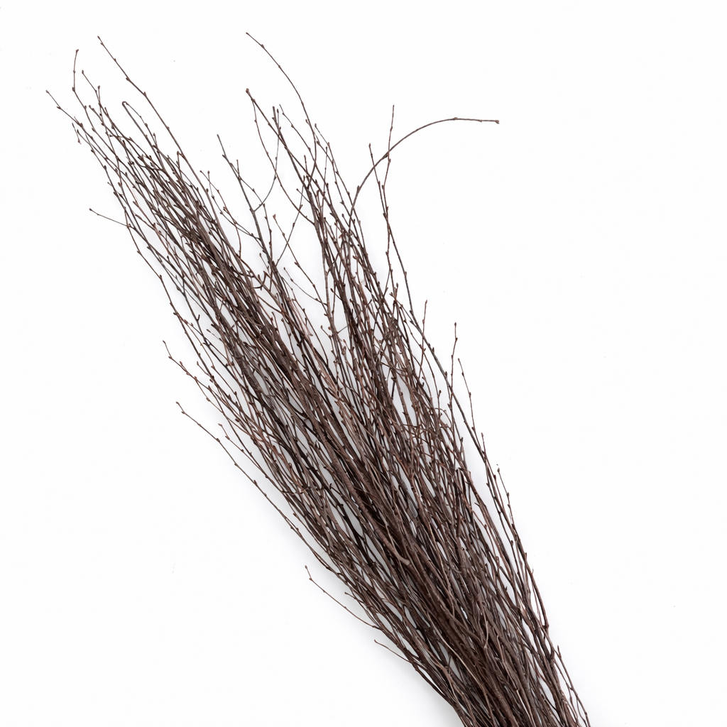 Natural Birch Branches, 4 Foot Set of 6