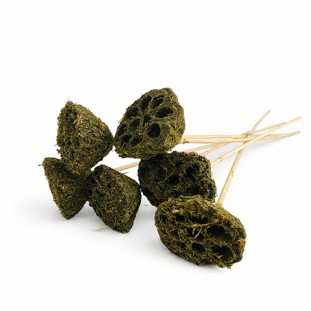 Moss Covered Lotus Pods - 15" Stem