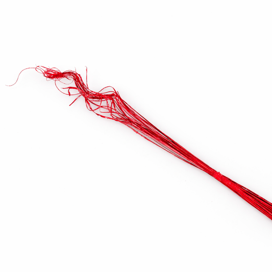 Red Painted Curly Ting - 25 Stem Bunch