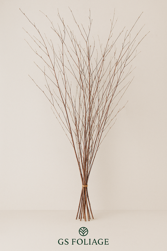 Natural Birch Branches – 10pc Bundle (3–4 ft Rustic Stems)