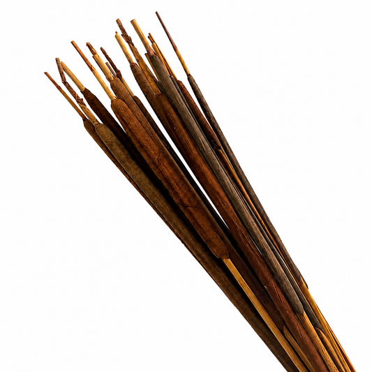 Dark Brown Pencil Cattails | 25pc Bunch