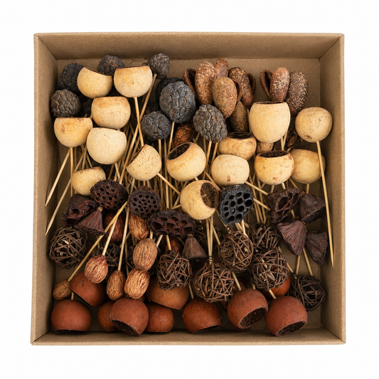 Deluxe Pod Assortments on 6" stem (Small)