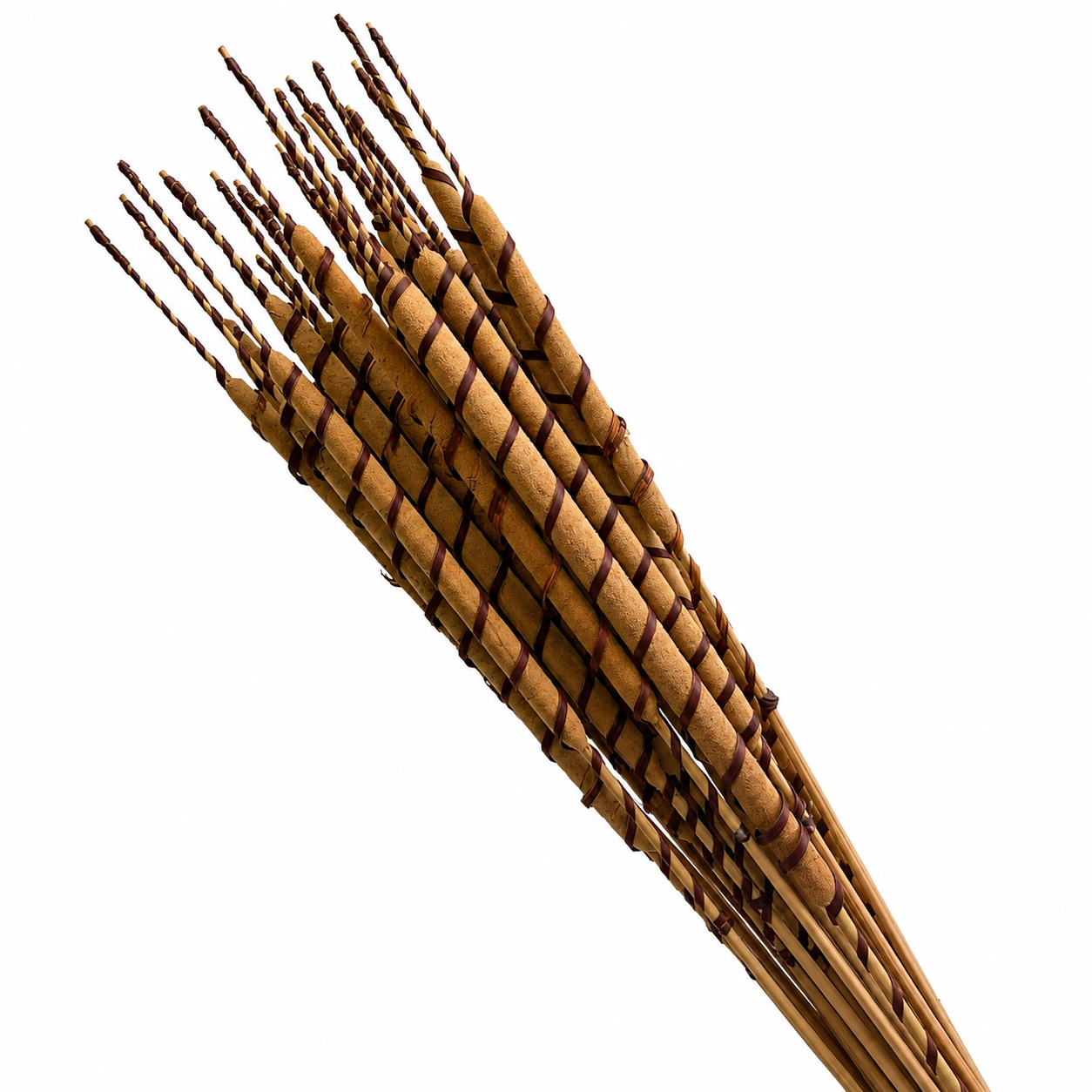 Dried Spiral Cattails | 25pc Bunch