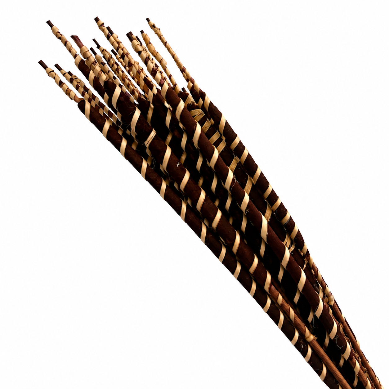 Dried Spiral Cattails | 25pc Bunch