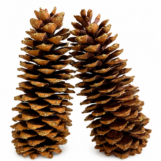 Gold Glitter X-Large Pinecones- 9-14"