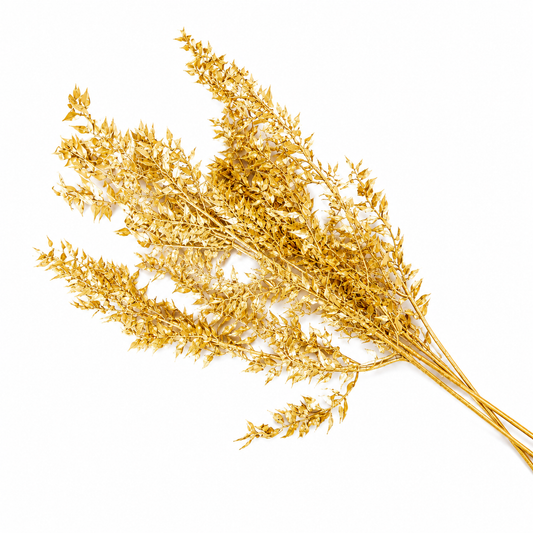 Metallic Painted Dried Ruscus - 3pc Bunch