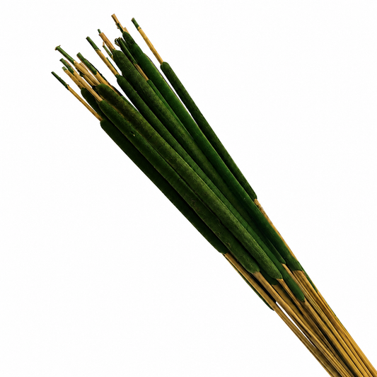Green Pencil Cattails | 25pc Bunch