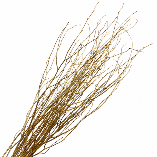 Metallic Gold 4 Foot Birch Branches