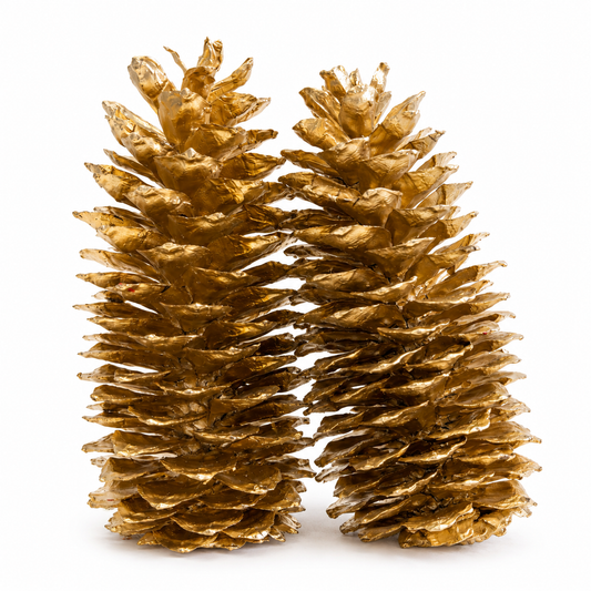Metallic Gold X-Large Pinecones - 9-14"
