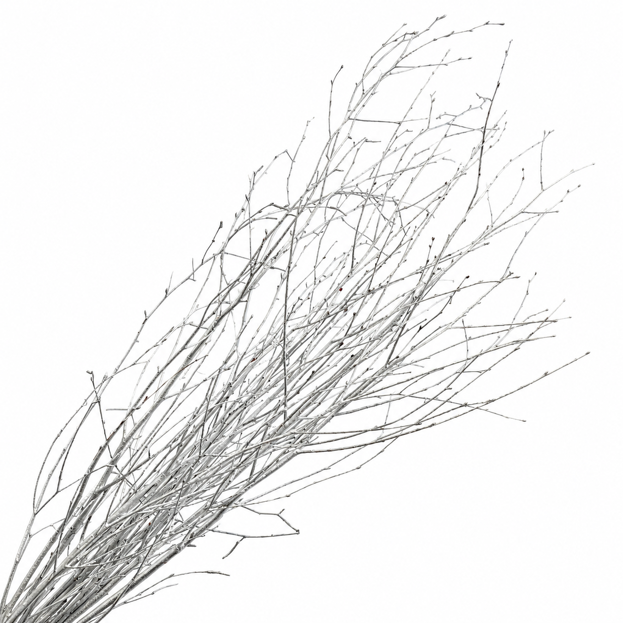 Metallic Silver 4 Foot Birch Branches
