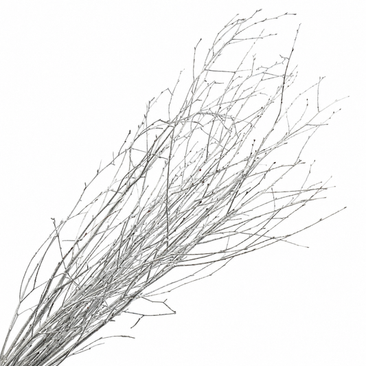 Metallic Silver 4 Foot Birch Branches