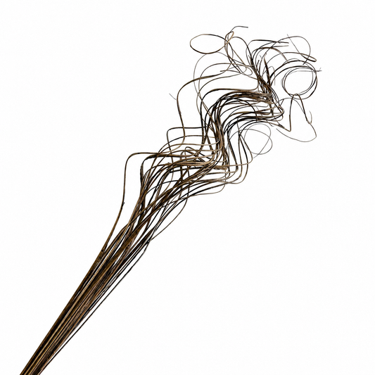 Natural Curly Ting - 25 Stem Bunch