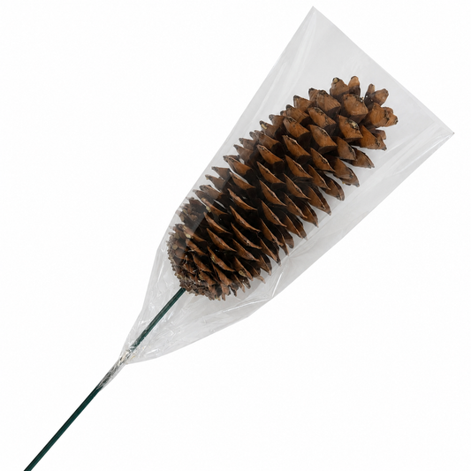 Natural Sugar Cone on a 15 Inch Stem in Plastic Sleeve