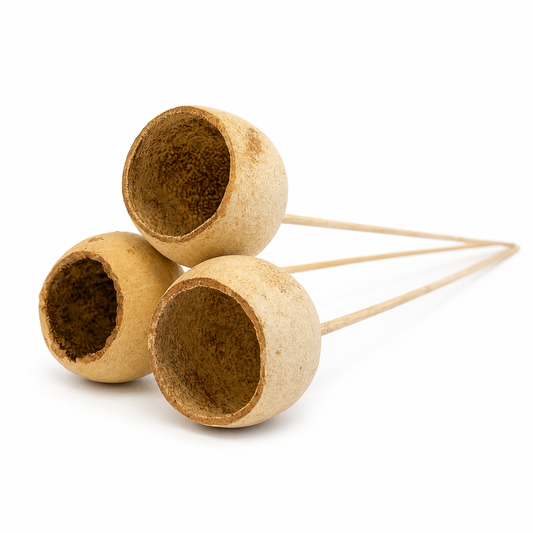 Natural Bell Cups on a 15 Inch Stem