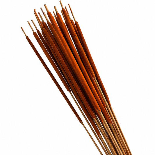 Orange Pencil Cattails | 25pc Bunch