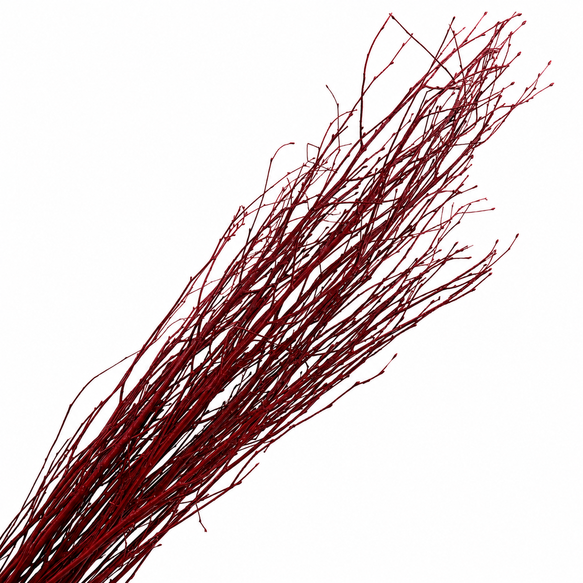 Red Painted 4 Foot Birch Branches