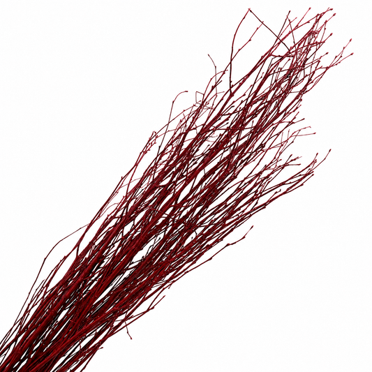 Red Painted 4 Foot Birch Branches